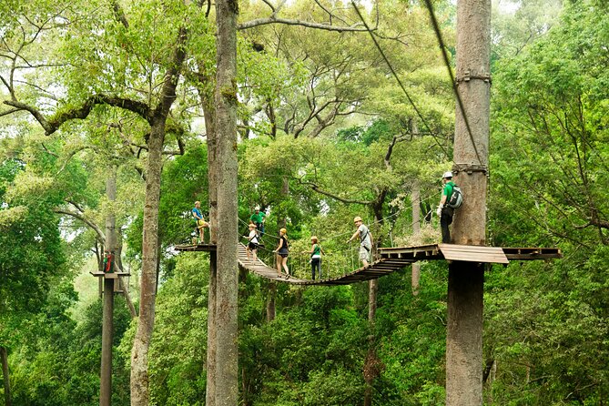 Jungle Flight Zipline Roller Coaster - Getting to the jungle: pickup, the one-hour transfer, and the 1000-year start