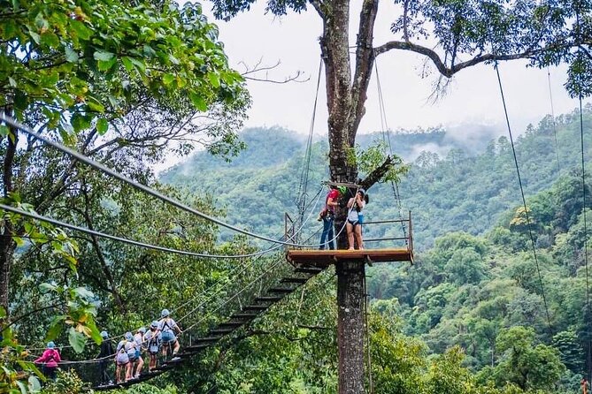 Kingkong Smile Zipline Adventure Tour From Chiang Mai - Thai Buffet and the 5-Hour Plan: Staying Energized for 19 to 38 Platforms