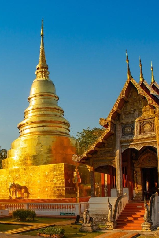 Lanna Heritage Walking Tour: A Journey Through History - Wat Phra Singh, temple significance, and a café break that feels local