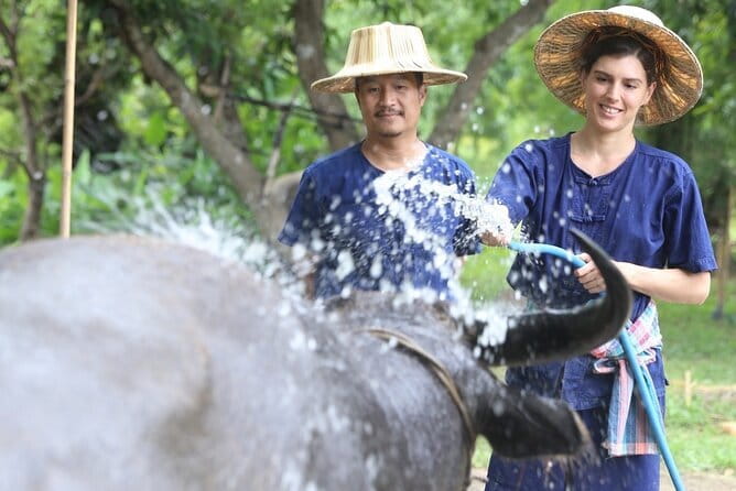 Local Farming Experience in Chiang Mai, Thailand - Getting from the meeting point to the farm workflow