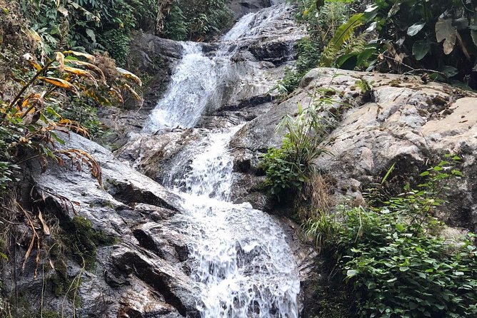 Lost in Chiang Mai - Secret Village, Hot Spring & Waterfall - A Cultural Therapy - The secret waterfall village walk: coffee, an ancient tree, and birdsong