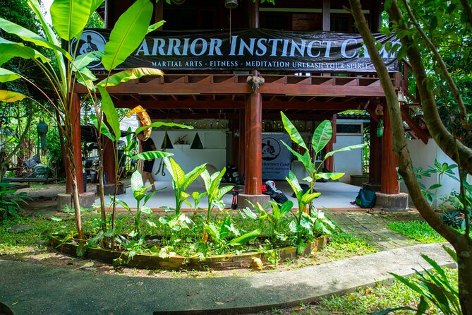 Martial Arts Jungle Experience - Unlock Your Spirit - A Small-Group Jungle Camp With Coaching You Can Feel