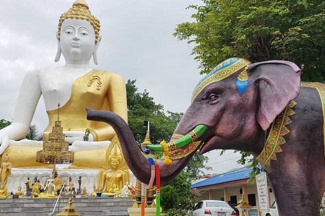 Mastering Chiang Mai Temples in Halfday - Visit 7 Temples - Wat Lok Molee and Wat Suan Dok: Lanna Art and White Pagoda Fields