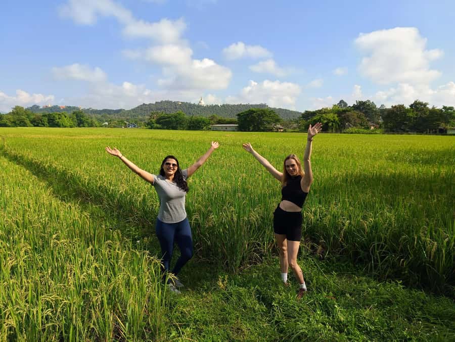Meditation & Yoga Retreat in Nature - 60 Minutes of Mindful Walking and Guided Sitting Meditation