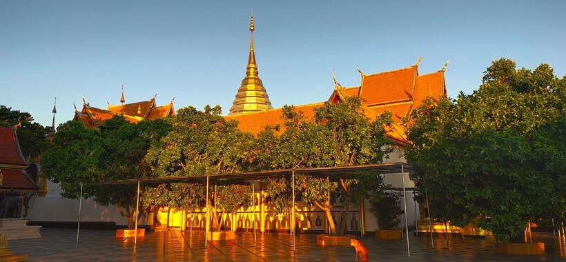 Monk trails hike, Wat Phalat, Monk chanting, Wat Doi Suthep. - Wat Doi Suthep at a smarter hour: views, chants, and fewer crowds