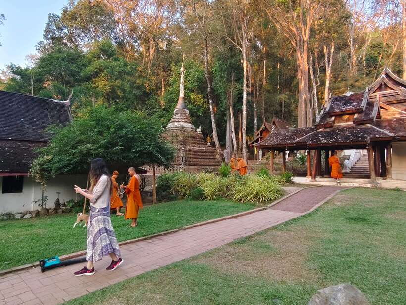 Monk trails hike, Wat Phalat, Monk chanting, Wat Doi Suthep. - Included lunch, small-group comfort, and how the 5-hour pace works