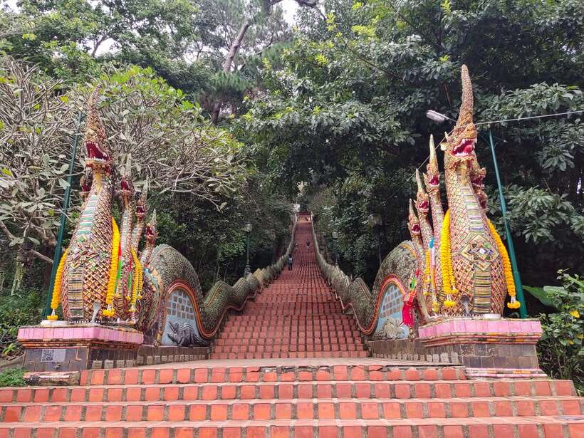 Monk trails hike, Wat Phalat, Monk chanting, Wat Doi Suthep. - Should you book the Monk Trails and Wat Phalat plus Wat Doi Suthep tour?