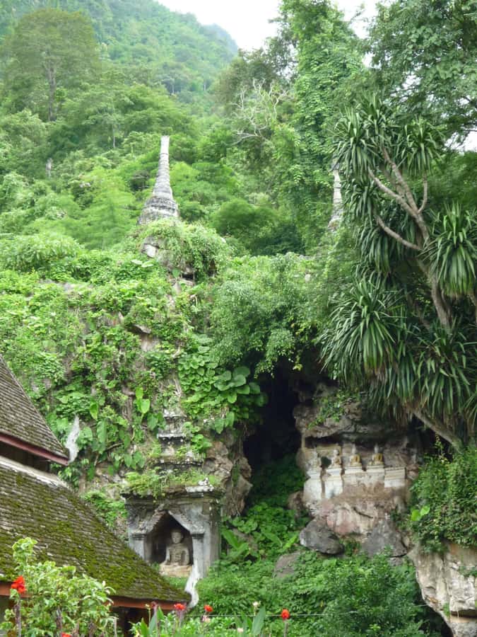 Monks chanting, Wat Doi Suthep and Wat Phalad+ Meditation - How the mountain day actually feels in Chiang Mai