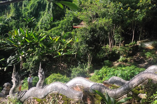 Monks trails (1 hour)-Wat Umong- Wat Phalat & Doi Suthep temple - Price and Value: Is $98 a Smart Move for This Private Format?