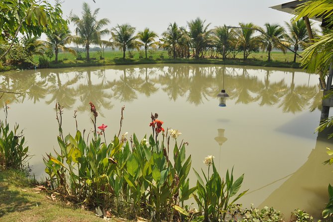 Morning Cooking Class in Organic Farm with Local Market Tour - Somphet Market: the fastest way to learn Thai ingredients