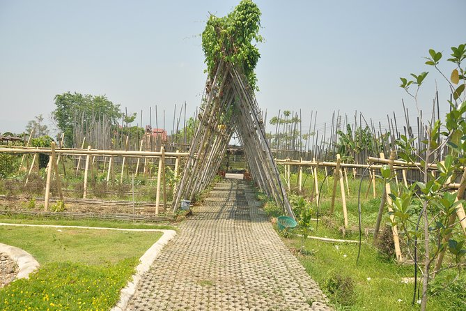 Morning Cooking Class in Organic Farm with Local Market Tour - Should you book The Best Thai Cookery School morning class?