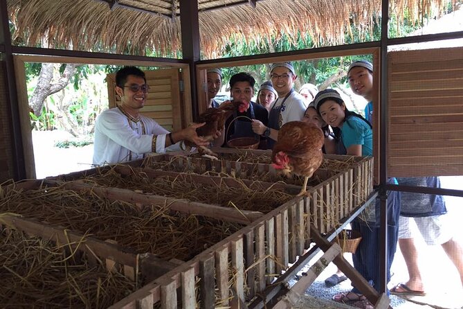Morning Cooking Class in Traditional Pavilion with Beautiful Garden - Chiang Mai - Logistics you should plan for, especially pickup and weather