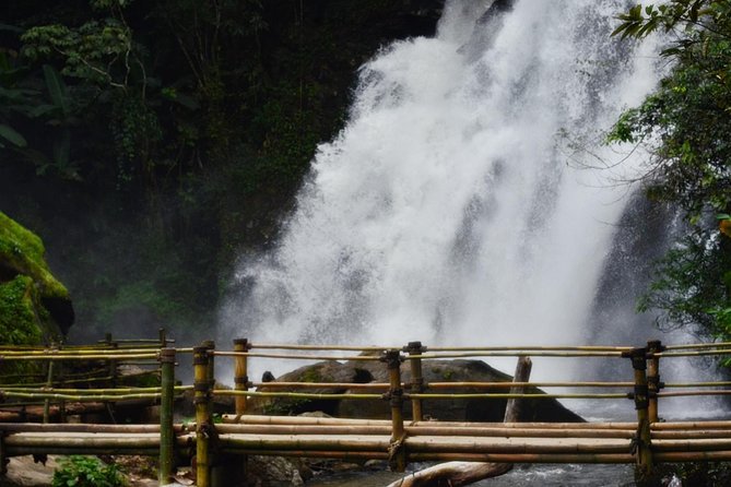 Mount Doi Inthanon Hiking & Bird Watching - Who this tour suits best in Chiang Mai