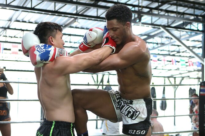 Muay Thai Experience - 1/2 Day - The half-day timeline: pickup, training, lunch, back to town