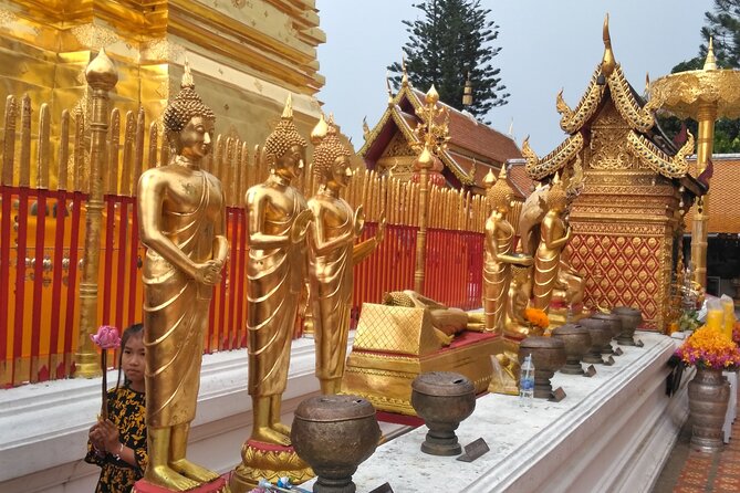 No.1 Chiang Mai: 3-Hour Monk Trail Hike to Wat Doi Suthep & Palad - Guide quality is a big part of the value on this trek