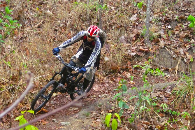 No.1 Chiang Mai: Advanced Downhill Mountain Biking, Suthep N.Park - Lunch at Huay Tueng Thao: where you recover, eat, and cool off