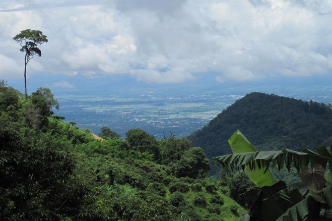 No.1 Chiang Mai: Advanced Downhill Mountain Biking, Suthep N.Park - Bike, safety gear, and the pro-shop setup that matters