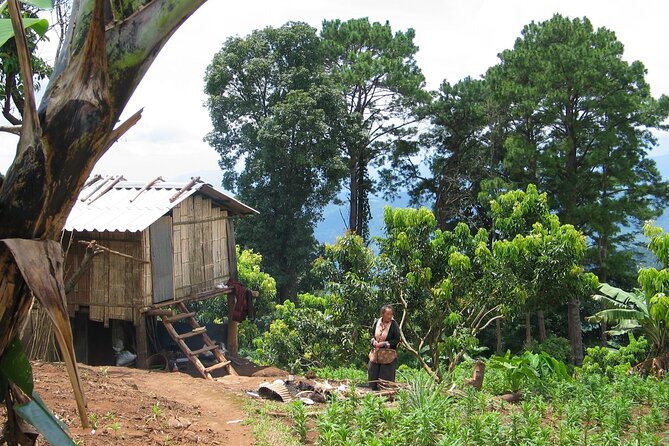 No.1 Chiang Mai: Advanced Downhill Mountain Biking, Suthep N.Park - Price and value: what you are really paying for