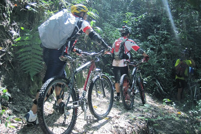 No.1 Chiang Mai: Advanced XC Downhill Biking, Doi Suthep N. Park - Coffee in the forest plantation: a reset, not a random detour