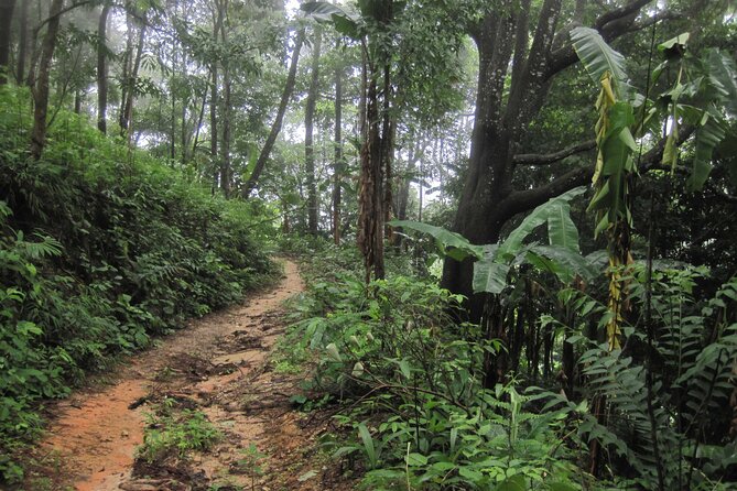 No.1 Chiang Mai: Advanced XC Downhill Biking, Doi Suthep N. Park - Lake Huay Tueng Tao lunch: the payoff after hard riding