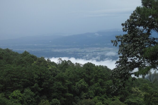 No.1 Chiang Mai: Advanced XC Downhill Biking, Doi Suthep N. Park - What’s included (and why it matters on an advanced day)