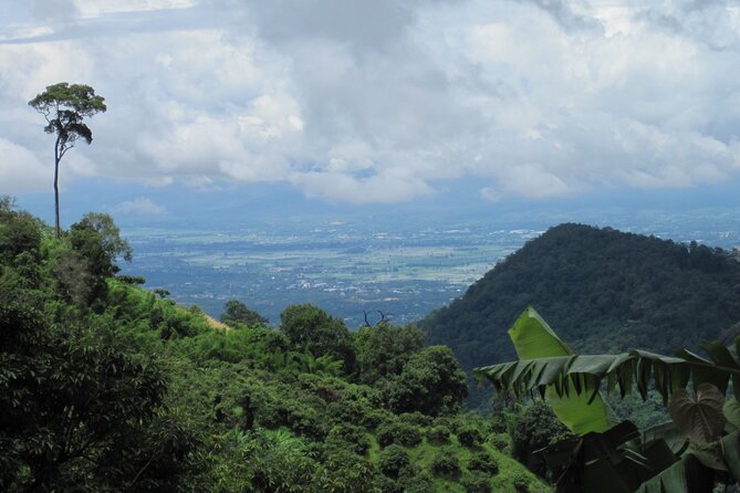 No.1 Chiang Mai: Advanced XC Downhill Biking, Doi Suthep N. Park - How hard is it really? Technical downhill, hard-tail, and the no-jump reality