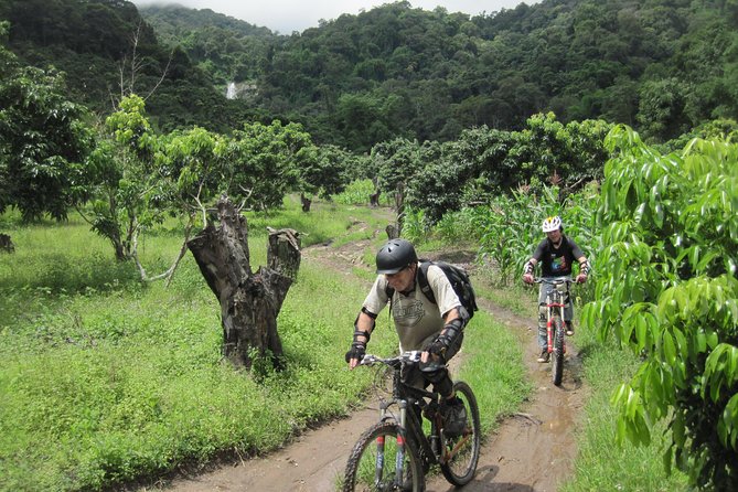No.1 Chiang Mai: Advanced XC Downhill Biking, Doi Suthep N. Park - The 6 hours: Doi Pui to Doi Suthep-Pui National Park, then down to the lake