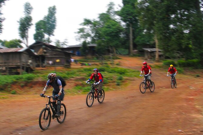 No.1 Chiang Mai: Epic Doi Suthep Downhill MTB Adventure - Price and value, plus the extra THB 250 you should budget