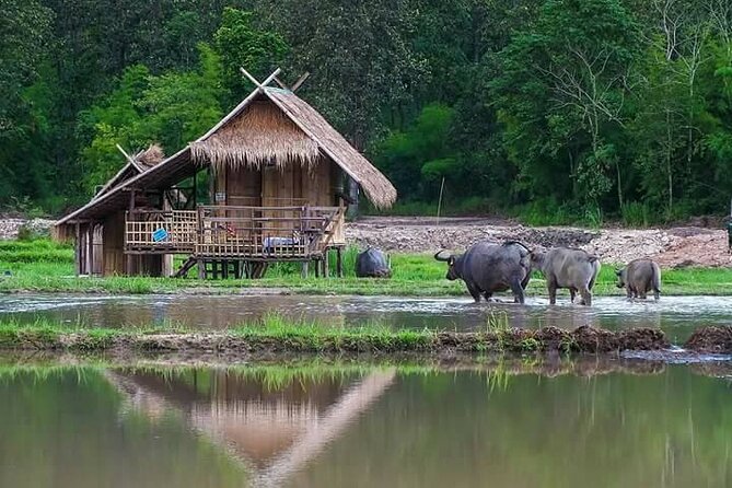 "No.1 Chiang Mai: Leisure Bicycle Ride to Lake Huay Tueng Tao" - Value and what the $56.47 actually covers