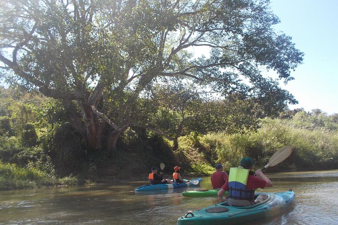 No.1 Chiang Mai: Leisure River Kayaking: Mae Taeng forest Reserve - Why Mae Ping River Kayaking Feels Special From Chiang Mai