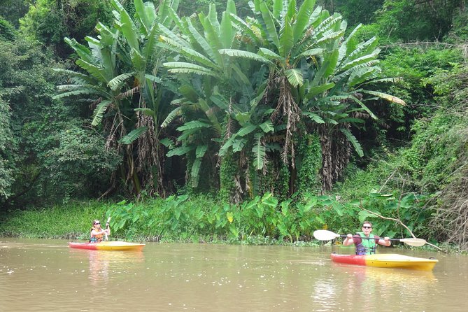 No.1 Chiang Mai: Leisure River Kayaking: Mae Taeng forest Reserve - Mae Ngat Valley: Rural Life, Wildlife, and a Protected Feeling