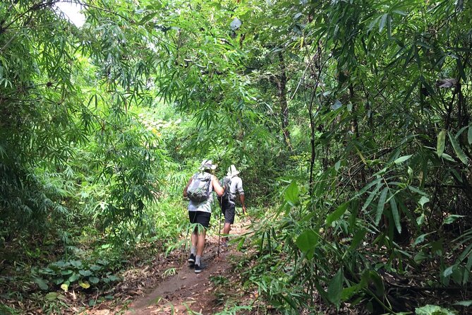 No.1 Chiang Mai: Mon Long Peak Climb & Downhill Bike Ride - Ascending for views: Mesa Valley and the Suthep mountain range