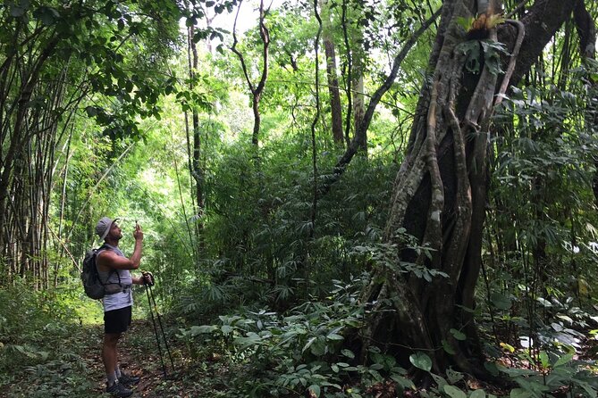 No.1 Chiang Mai: Mon Long Peak Climb & Downhill Bike Ride - The descent choice: downhill mountain bike thrill or comfort truck
