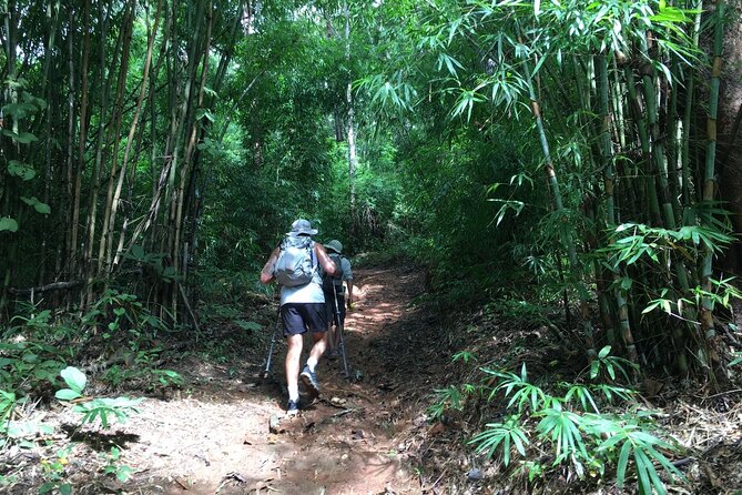 No.1 Chiang Mai: Mon Long Peak Climb & Downhill Bike Ride - Lunch, water, and real safety support that keeps the day calm