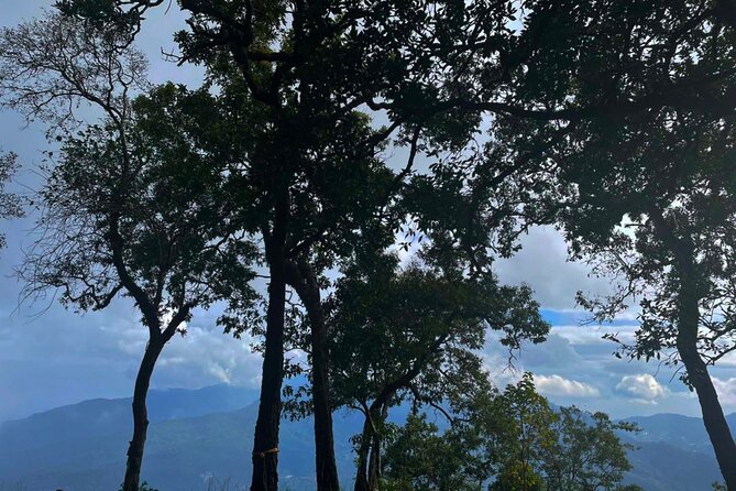 No.1 Chiang Mai: Mon Long Peak Climb & Downhill Bike Ride - Price and value: getting more than just a workout