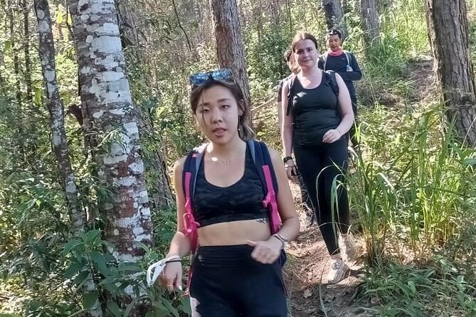 "No.1 Chiang Mai: Suthep N. Park Leisure walks & Mountain Biking" - Stop 3: Wat Pha Lat, Then the Route Tips Downward