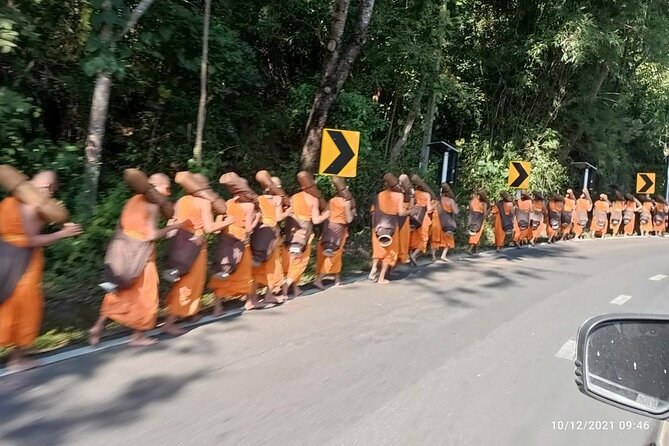 "No.1 Chiang Mai: Suthep N. Park Leisure walks & Mountain Biking" - Bikes, Helmets, Pads, and the Follow Truck: Safety You Can Feel