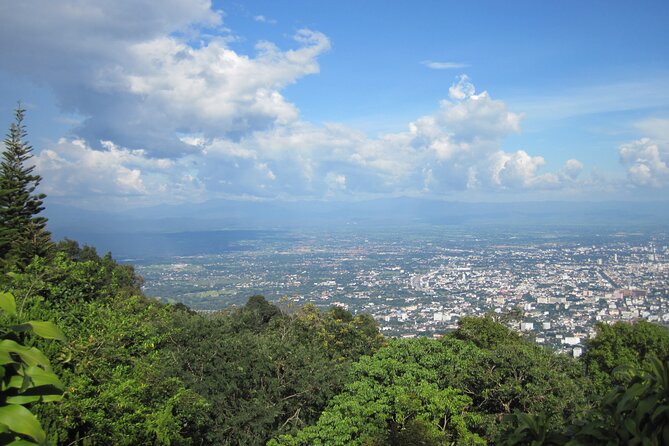 No1. Chiang Mai City Hiking, Biking & Kayaking Triathalon - Kayaking the Ping River from Wat Tha Luk to the city center