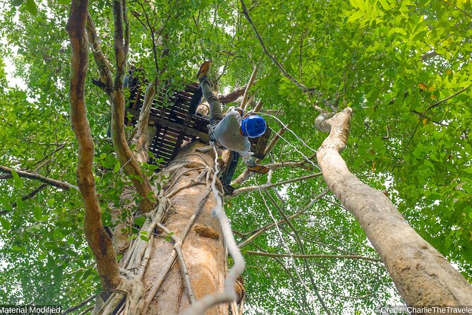 North & Central Thailand: See it ALL in 12 Days, 1st Class Tours - Ziplining and Wua Lai or Sunday Walking Street in Chiang Mai