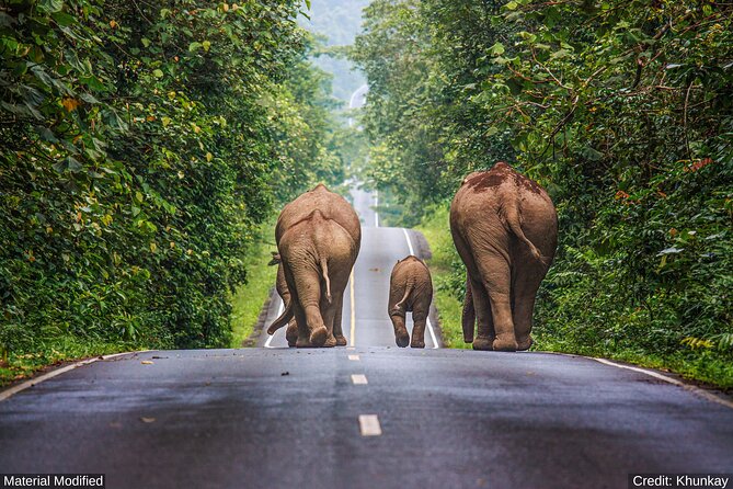 North & Central Thailand: See it ALL in 12 Days, 1st Class Tours - Pai hot springs, bamboo bridge walks, and a canyon sunset