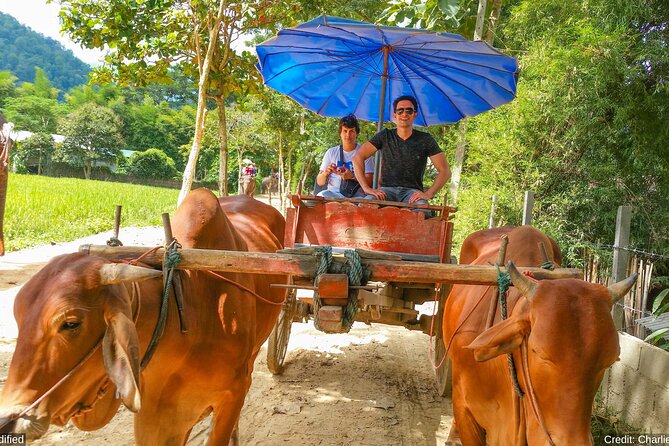 North & Central Thailand: See it ALL in 12 Days, 1st Class Tours - Wat Chedi Luang, sticky waterfalls, and Doi Suthep temple views