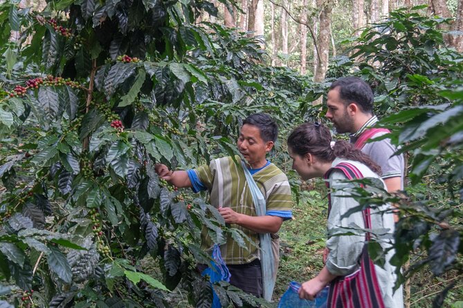 Off the Map Chiang Mai Jungle Coffee Trek Roast and Brew - What kind of day this really is, nature, culture, and a coffee mission