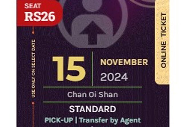 Official Ticket for Chiangmai CAD Khomloy Sky Lantern Festival - Moving into the ritual area at the great pagoda
