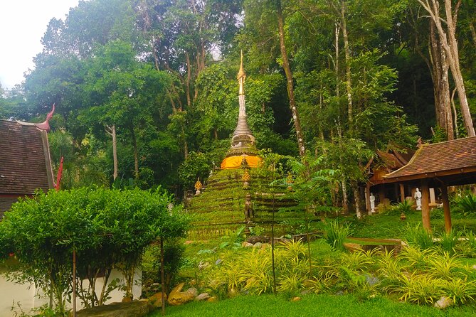 Old city & temples tour + Doi Suthep temple & famous CNX. lunch - Price and Time: Is $85 Good Value?