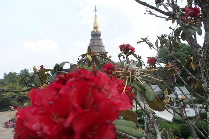One day Doi Inthanon National Park & Trekking on Kew Mae Pan - Hmong hill tribe market and authentic lunch: culture and fuel
