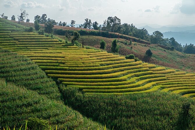 One day Doi Inthanon & Trekking at Pha Dok Siew - A 7:00 am start for Doi Inthanon’s highest views