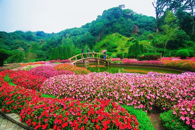 One day Doi Inthanon & Trekking at Pha Dok Siew - Lunch on the way, then your trek begins