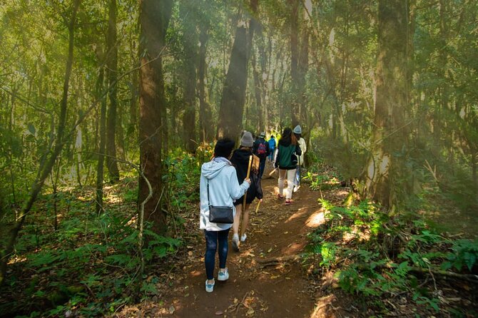 One day Doi Inthanon & Trekking at Pha Dok Siew - Red Karen village time: rice farming and chemical-free Arabica coffee