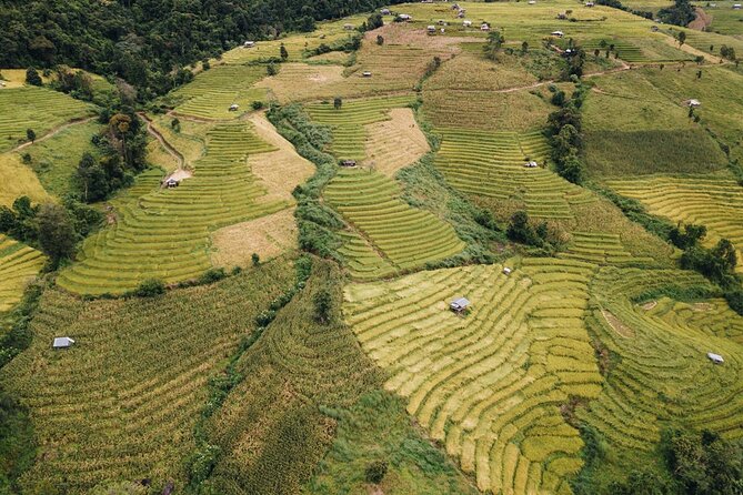 One day Doi Inthanon & Trekking at Pha Dok Siew - Summiting Doi Inthanon, then cooling off at Royal Agricultural Station