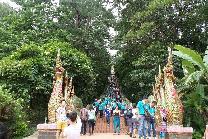 One day Doi Suthep Temple, Longneck hill tribe & Sticky waterfall - Bua Thong Sticky Waterfall: The Sticky Limestone Walk You’ll Actually Remember